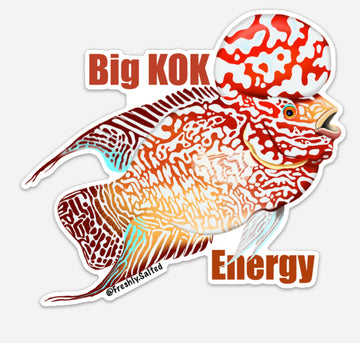 6” Big Kok Energy Flowerhorn Magnet