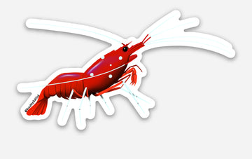 Fire Shrimp Sticker