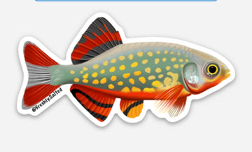 Celestial Pearl Danio Sticker