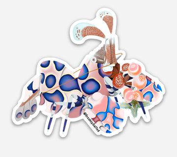 Harlequin Shrimp with Starfish Sticker