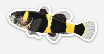Bumble Bee Goby Sticker