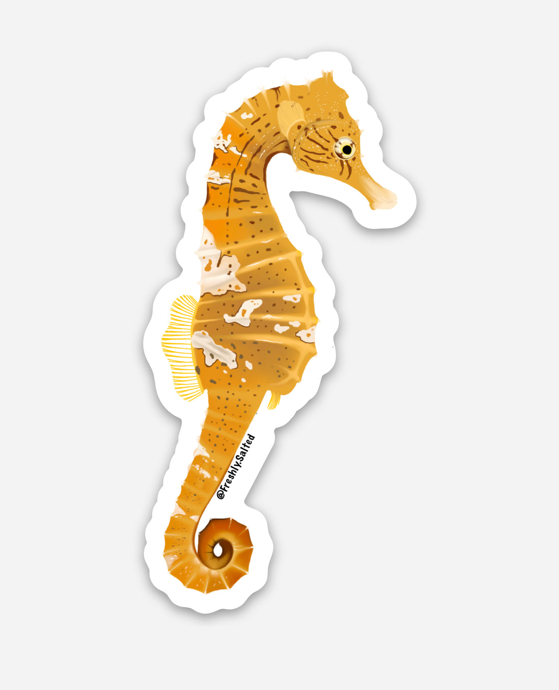 Seahorse Sticker