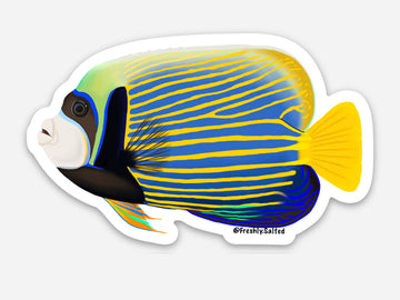 Emperor Angelfish Sticker