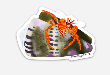 Halloween Hermit Crab Sticker