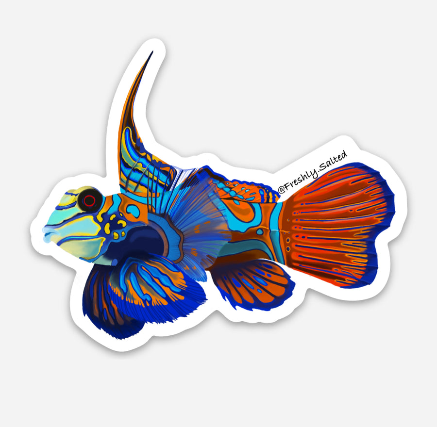 Mandarin Dragonet Sticker