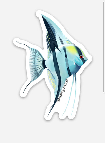 Philippine Blue Angelfish Sticker