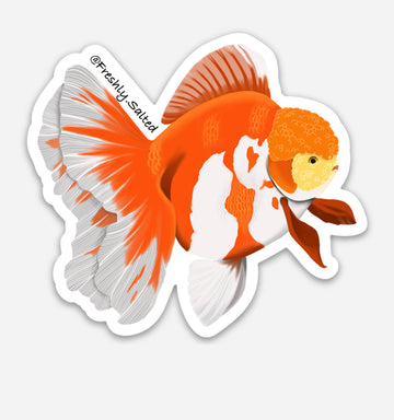 Oranda Goldfish Sticker