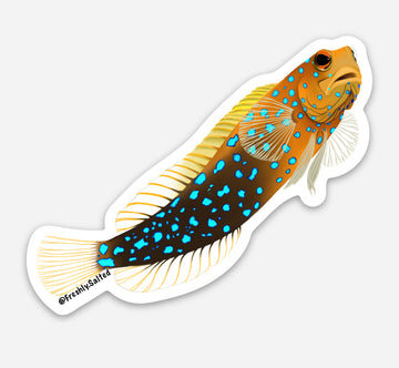 Blue-Spotted Jawfish Sticker