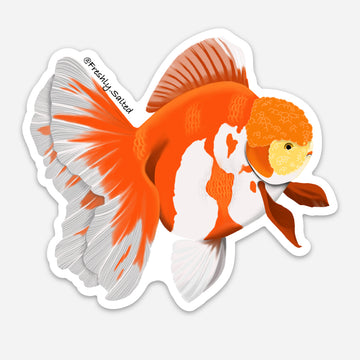 Oranda Goldfish Magnet