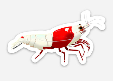 Crystal Red Neo. Shrimp Sticker